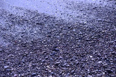 DSC_2124 (Large).JPG